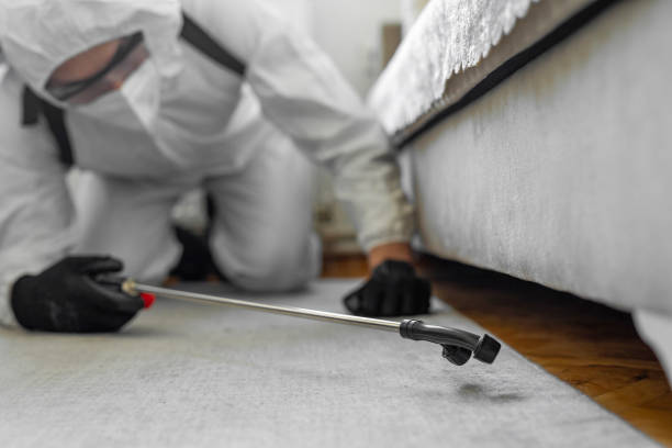 Professional Pest Control technician working in Monroe County County, GA
